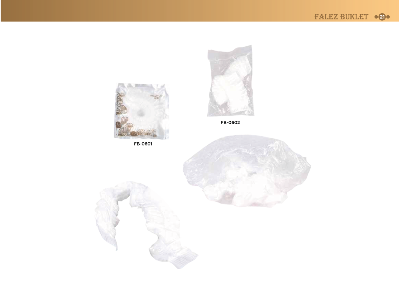 bone1